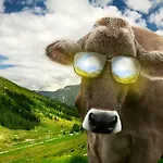 Apartment Eishexe Tanne