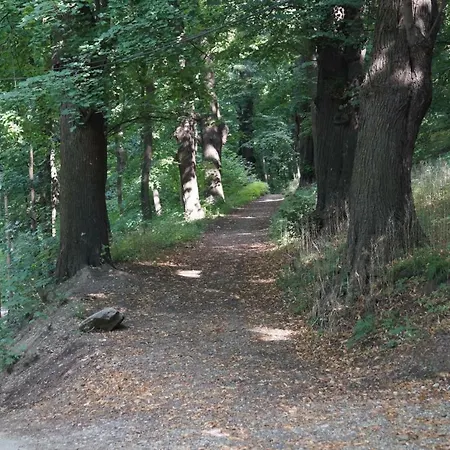 Eishexe Apartamento *