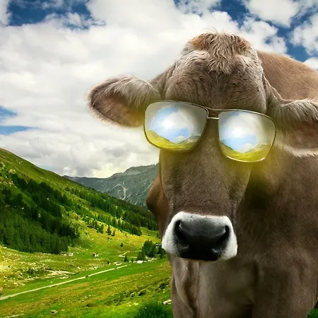 Apartamento Eishexe Tanne