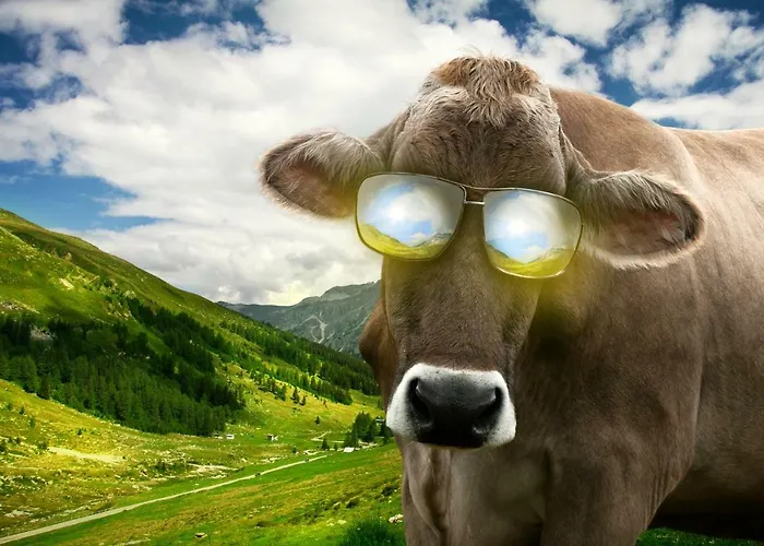 شقة Eishexe تانه